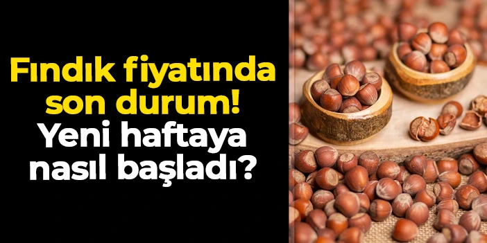 Trabzon'da fındık fiyatında son durum: Yeni haftaya nasıl başladı? 29 Aralık Pazartesi