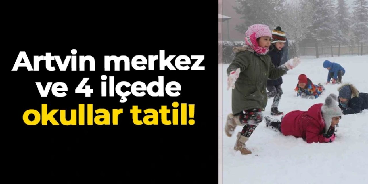 Artvin merkez ve 4 ilçede 30 Aralık Salı günü okullar tatil