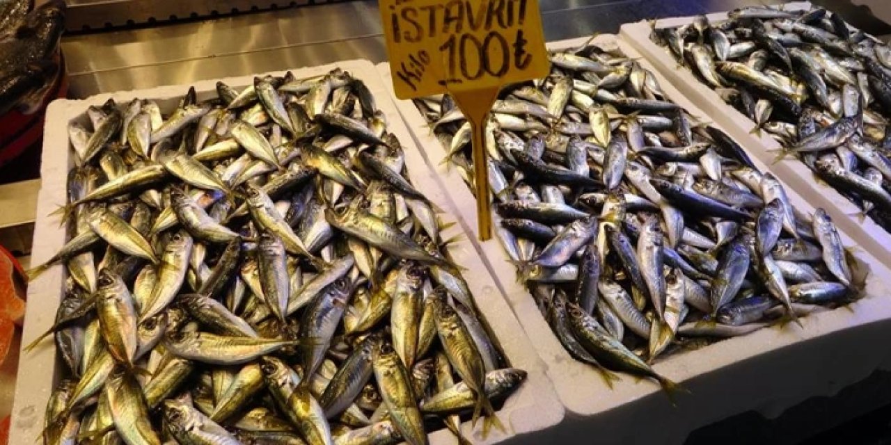Trabzon'da balıkçı tezgahlarında hamsinin yerini istavrit alıyor