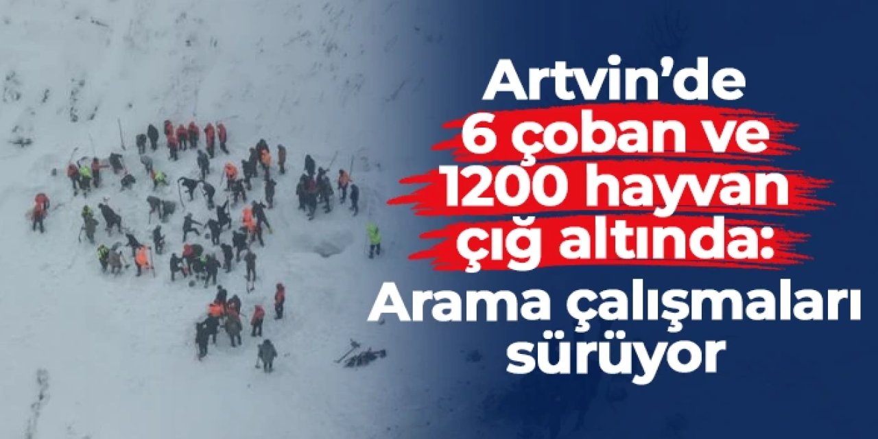 Artvin'de 6 çoban ve 1200 hayvan çığ altında: Arama çalışmaları sürüyor