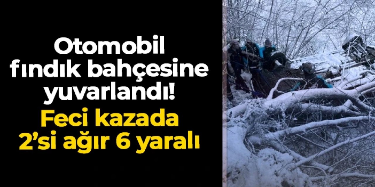 Giresun'da araç fındık bahçesine uçtu: 2'si ağır 6 yaralı var