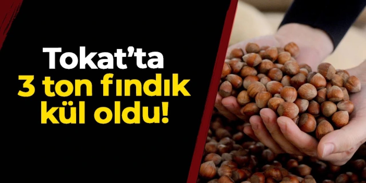 Tokat'ta 3 ton fındık küle döndü!