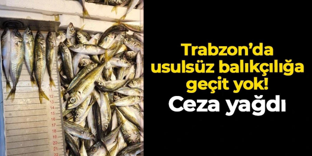 Trabzon'da kaçak balıkçılığa geçit yok: Tonlarca ürüne el kondu, para cezası yağdı