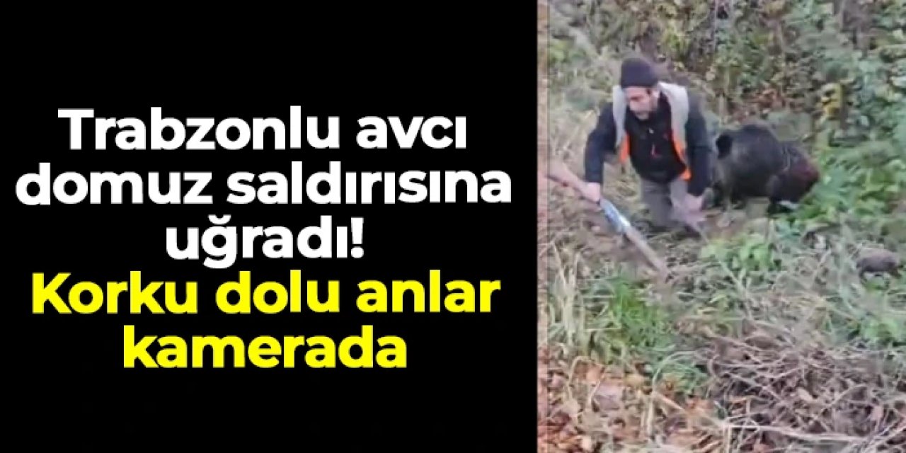 Trabzonlu avcı domuz saldırısına uğradı: Korku dolu anlar kamerada