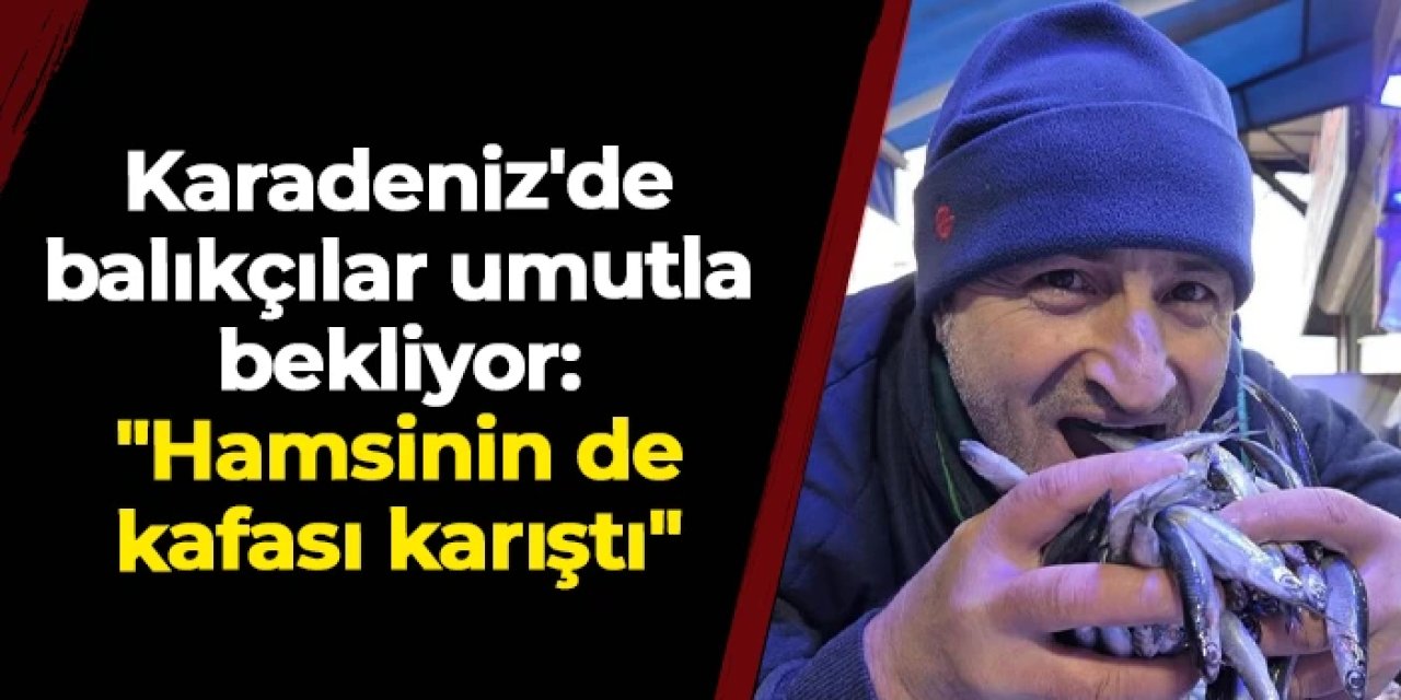 Karadeniz'de balıkçılar umutla bekliyor: "Hamsinin de kafası karıştı"