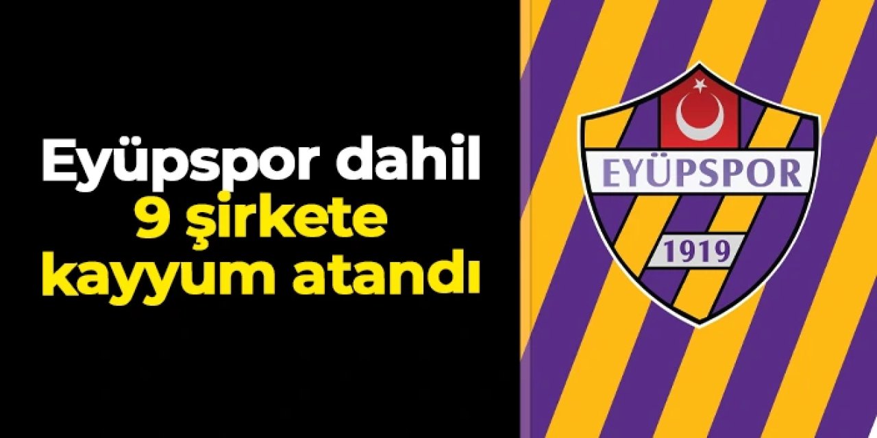 Eyüpspor dahil 9 şirkete kayyum atandı