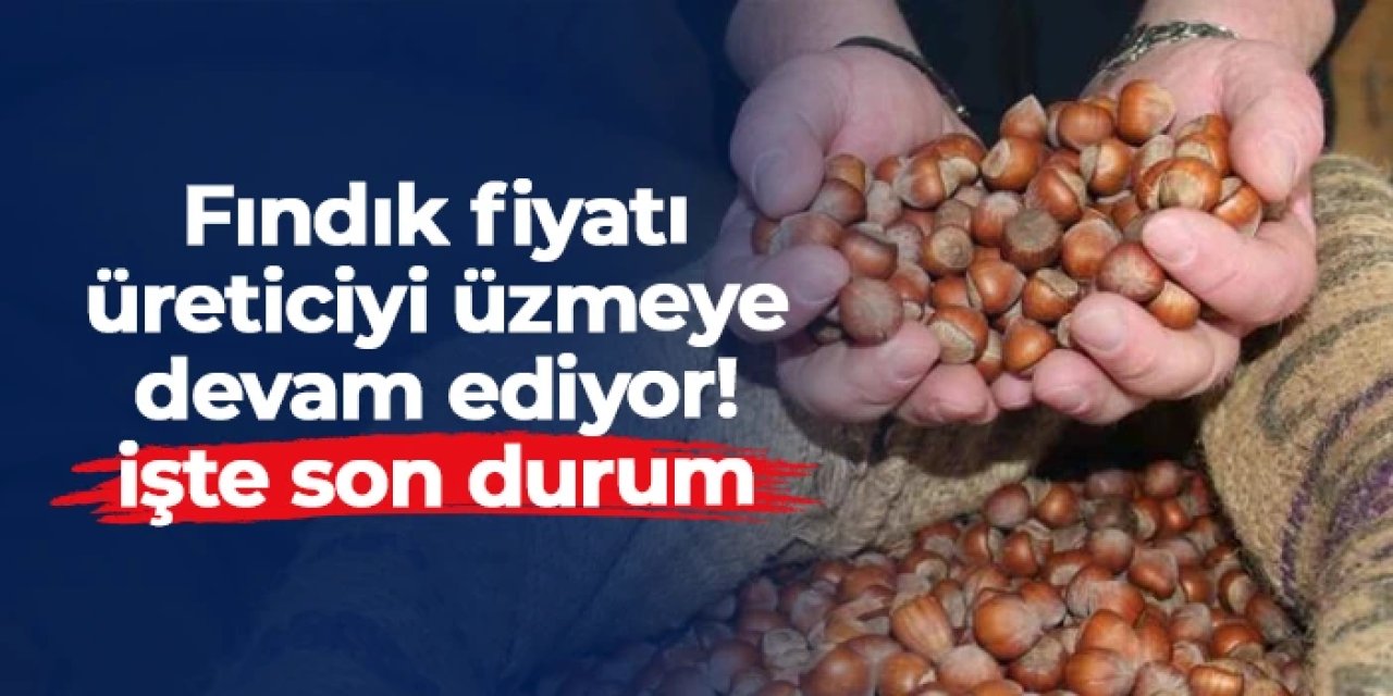 Fındık fiyatı üreticiyi üzmeye devam ediyor: İşte serbest piyasada son durum