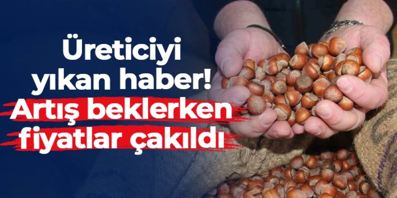 Trabzon'da fındık üreticisini üzen haber! Artış beklerken fiyatlar çakıldı