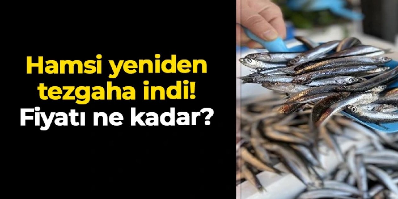 Hamsi yeniden tezgaha indi! İşte fiyatlarda son durum