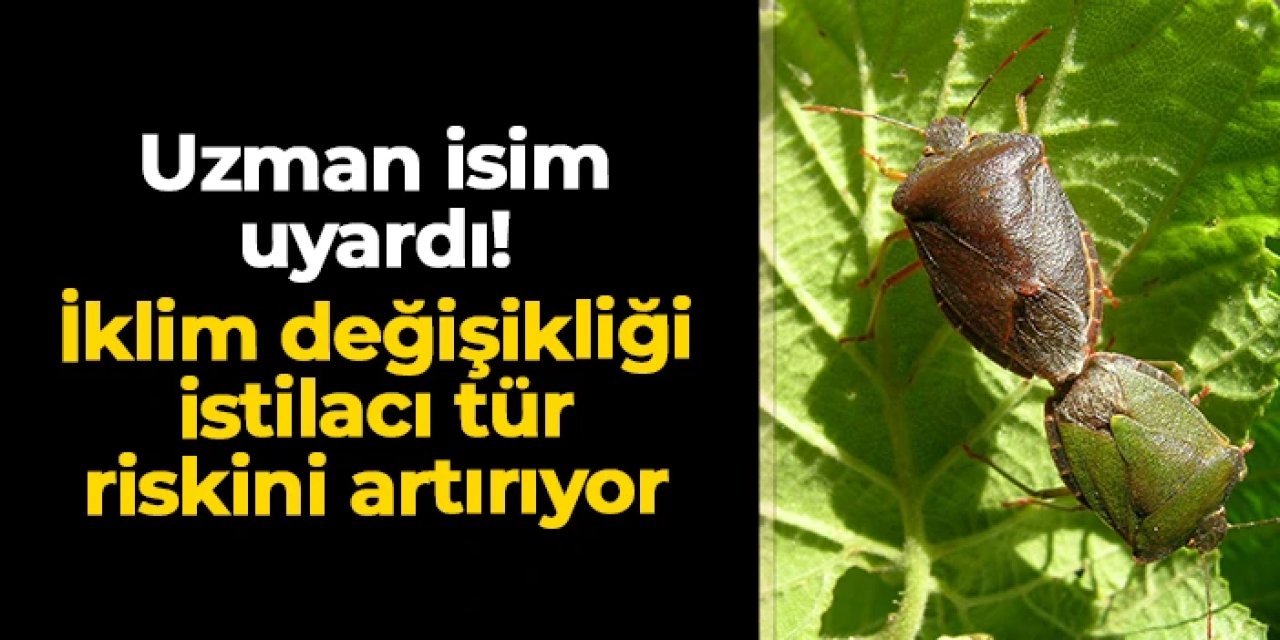 Doç. Dr. Kibar Ak uyardı! İklim değişikliği istilacı tür riskini artırıyor
