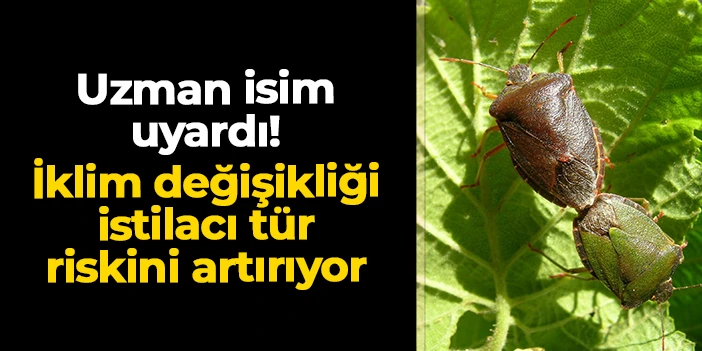 Doç. Dr. Kibar Ak uyardı! İklim değişikliği istilacı tür riskini artırıyor