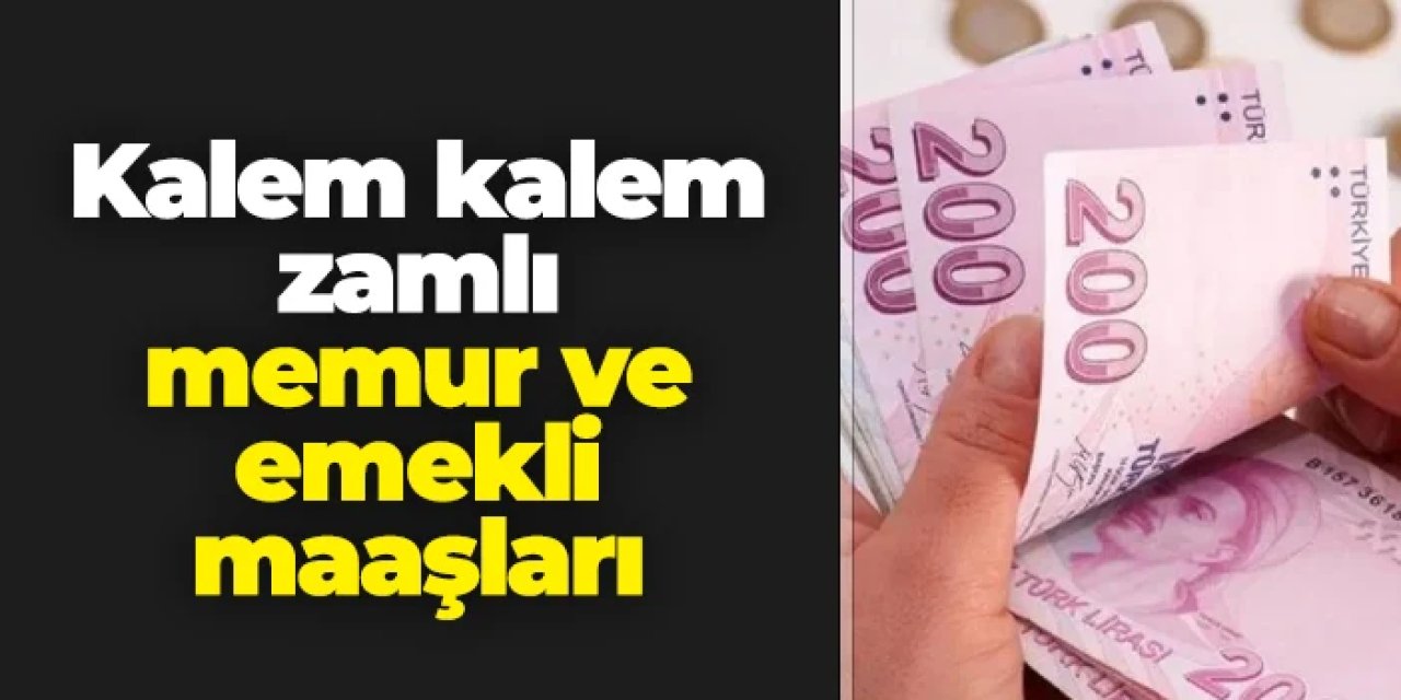 İşte kalem kalem zamlı memur ve emekli maaşları!