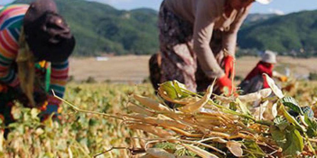 Bakan Yumaklı müjdeyi verdi! Çiftçilere  865 milyon 356 bin TL destek ödemesi