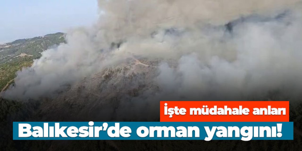 Balıkesir'de orman yangını! İşte müdahale anları