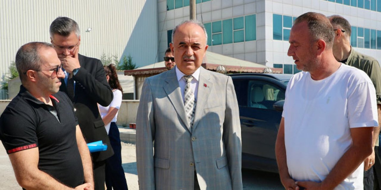 Ordu Valisi Muammer Erol Fatsa'da ÇED başvurularını yerinde inceledi
