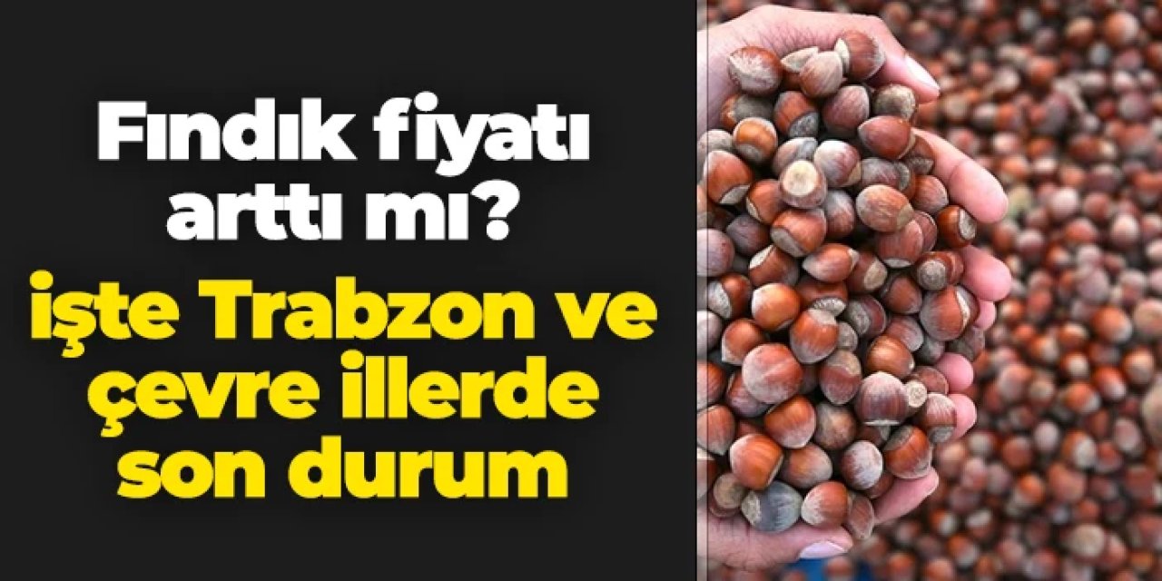 Fındık fiyatı arttı mı? Trabzon, Ordu, Giresun, Samsun son durum