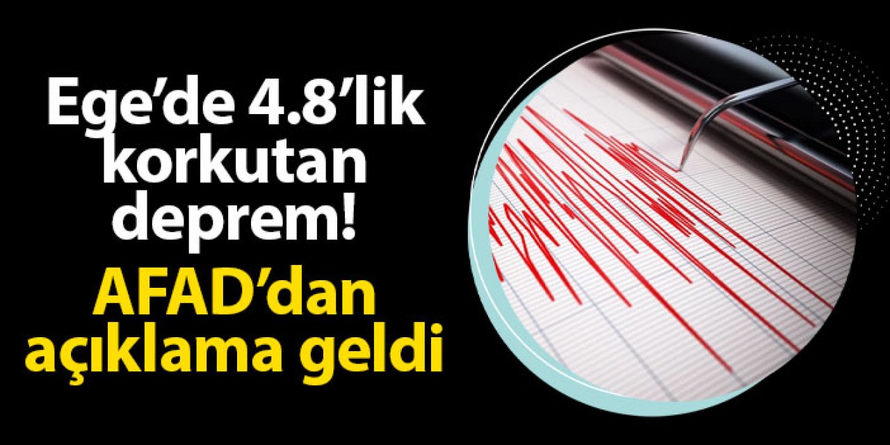Ege'de 4.8'lik korkutan deprem! AFAD'dan açıklama geldi