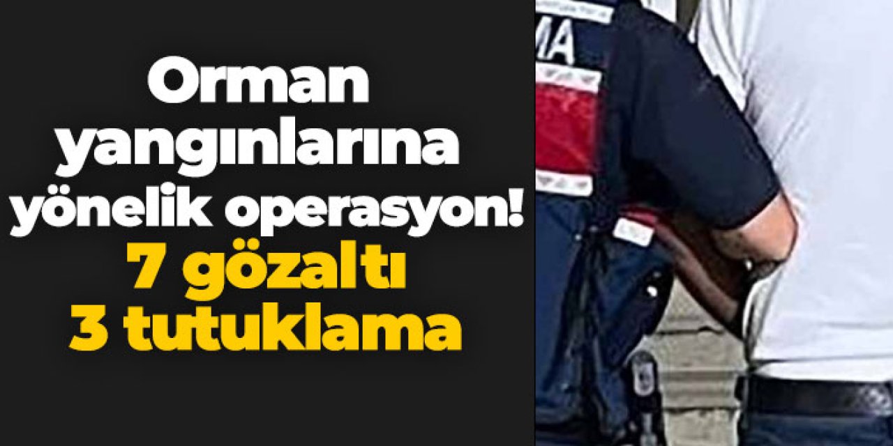 Orman yangınlarına yönelik operasyon! 7 gözaltı 3 tutuklama