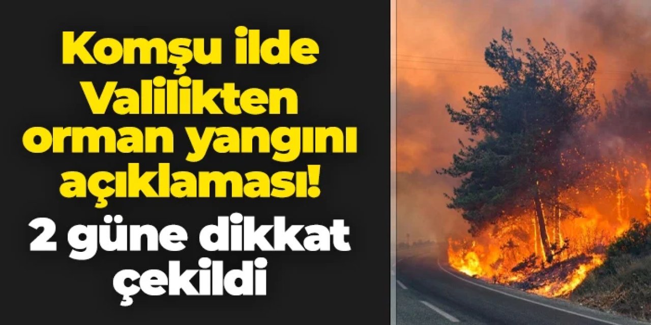 Rize Valiliği'nden orman yangını açıklaması!
