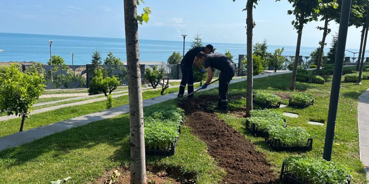 Akçaabat Belediyesi'nden çevreye renkli ve estetik dokunuş