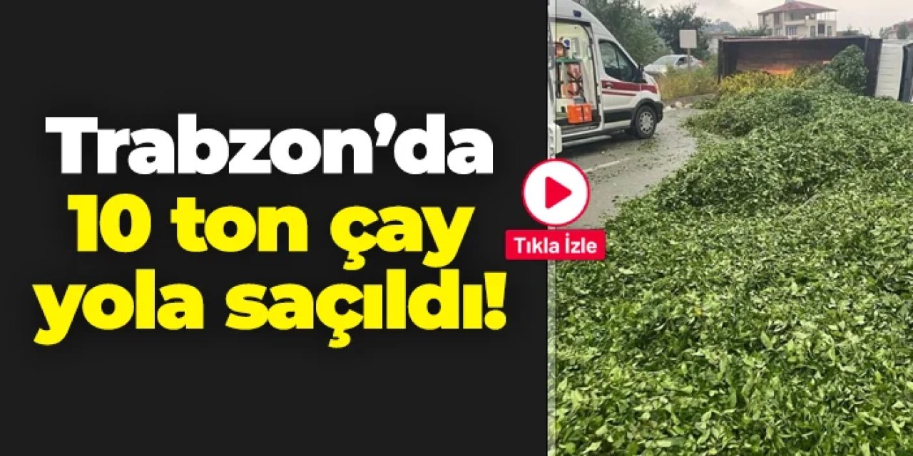 Trabzon'da 10 ton çay yola saçıldı! Pratik çözümle çöp olmaktan kurtarıldı