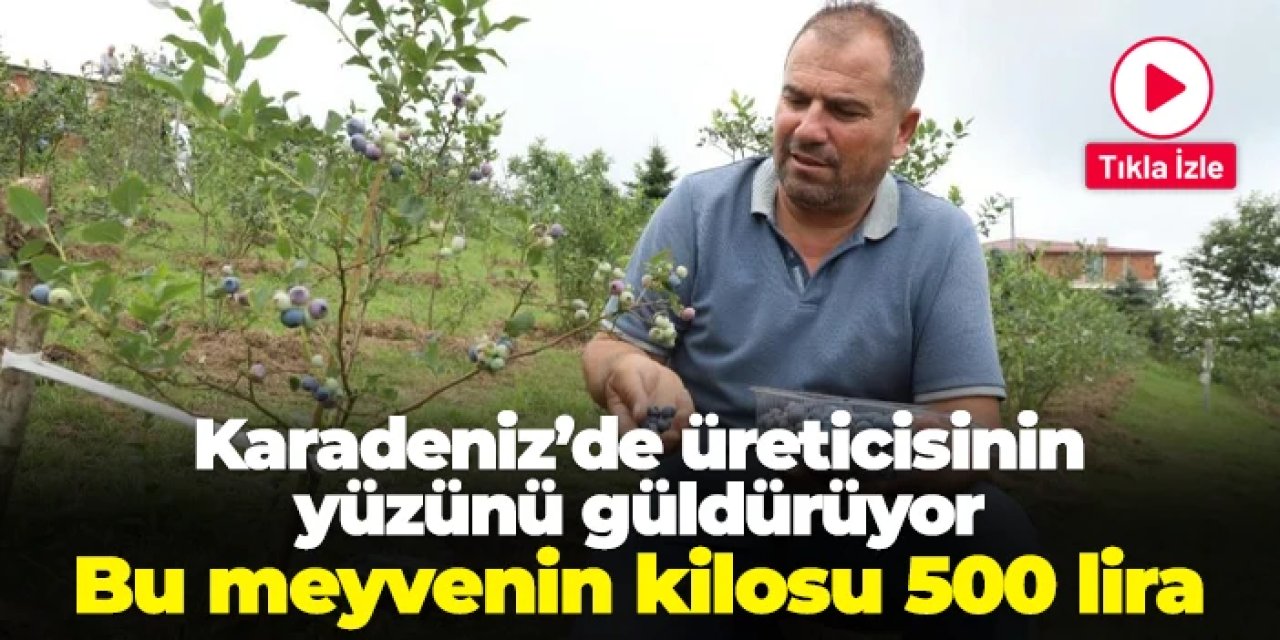 Karadeniz'de üreticisinin yüzünü güldürüyor! Bu meyvenin kilosu 500 lira