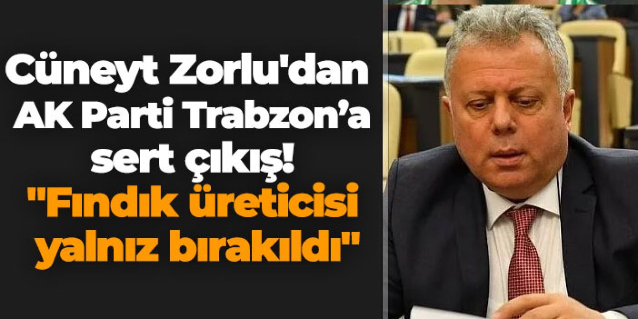 Cüneyt Zorlu'dan AK Parti Trabzon'a sert çıkış! "Fındık üreticisi yalnız bırakıldı"