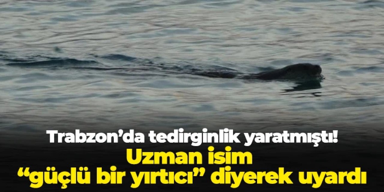 Trabzon ve Karadeniz'de tedirginlik yaratmıştı! Uzman isim "güçlü bir yırtıcı" diyerek uyardı