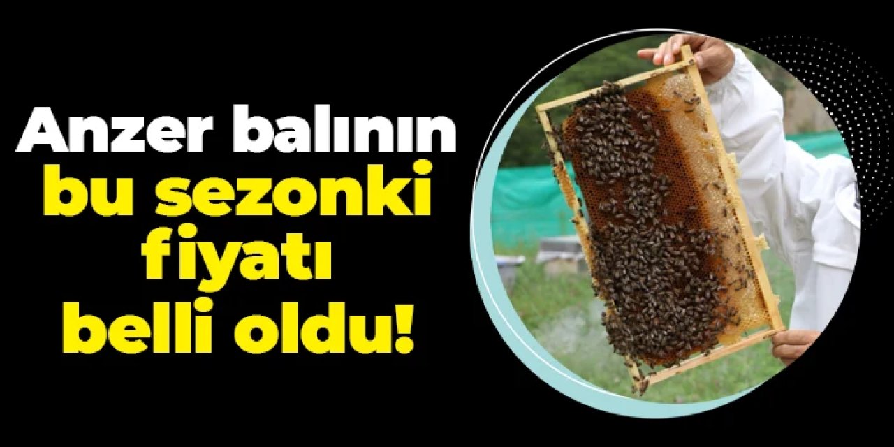 Dünyaca ünlü Anzer Balı'nın bu sezonki fiyatı belli oldu!