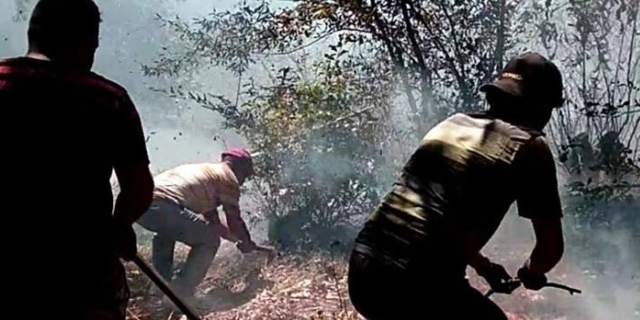 Ordu'da korkutan yangınlar! fındık bahçesi ve ormanlık alan alevler içinde kaldı