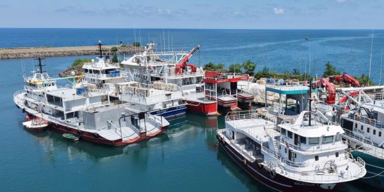 Trabzon'da balıkçılar yeni av sezonundan umutlu:! Palamut görüldü hamsi bekleniyor