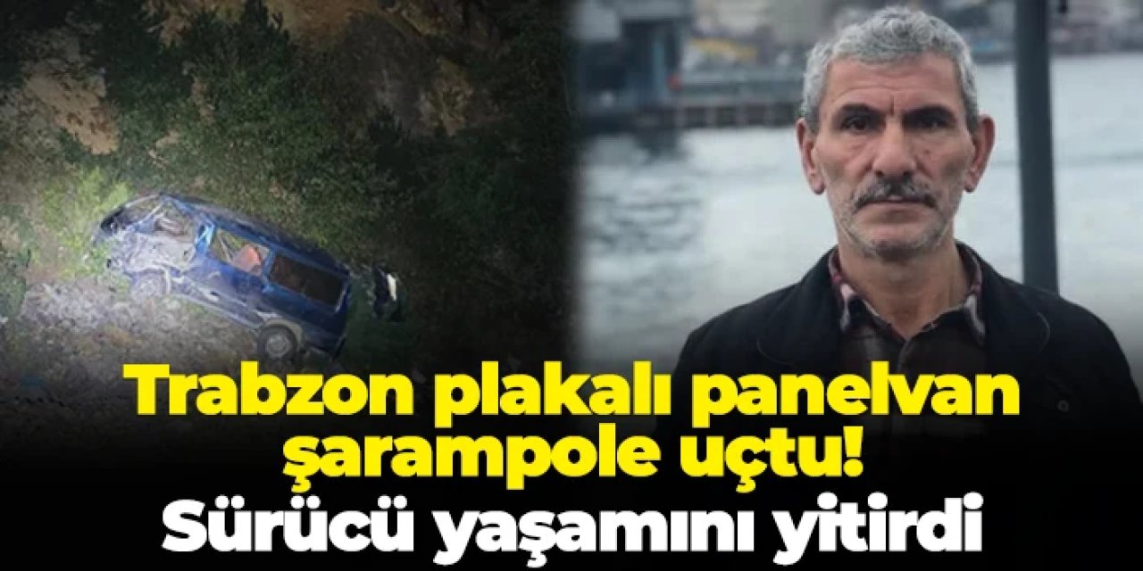 Gümüşhane'de Trabzon plakalı panelvan şarampole uçtu! Sürücü yaşamını yitirdi