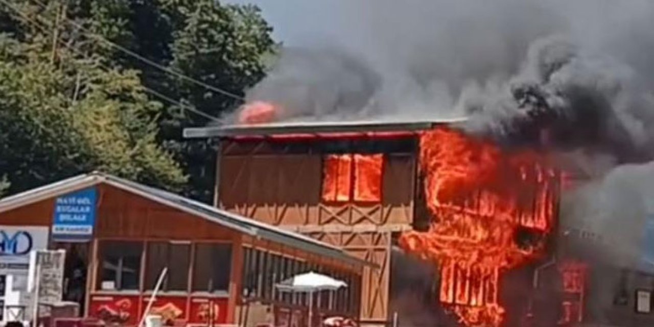 Giresun’un gözde tabiat parkında yangın