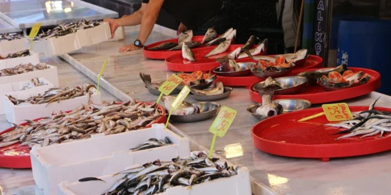 Rize'de balıkçılar sezonun ilk gününde umduğunu bulamadı
