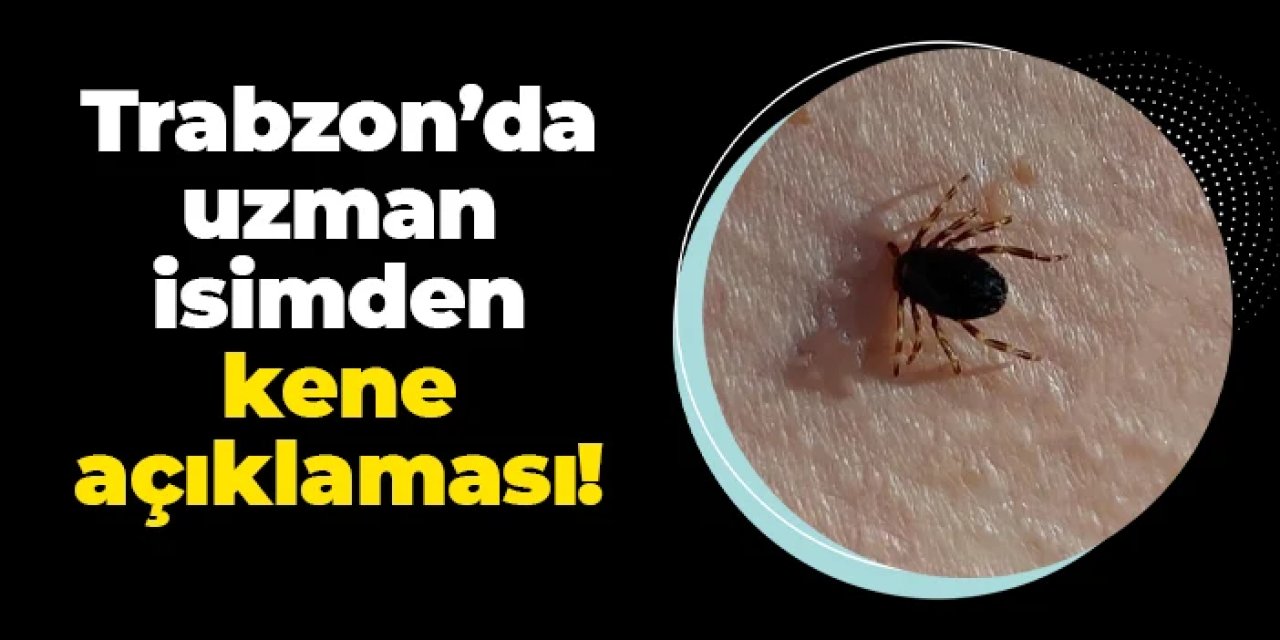 Trabzon'da uzman isimden kene açıklaması!