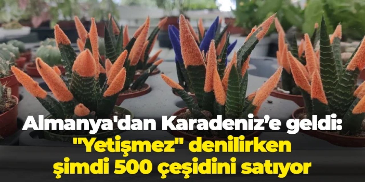 Almanya'dan Karadeniz iline geldi: "Yetişmez" denilen kaktüsün 500 çeşidini satıyor