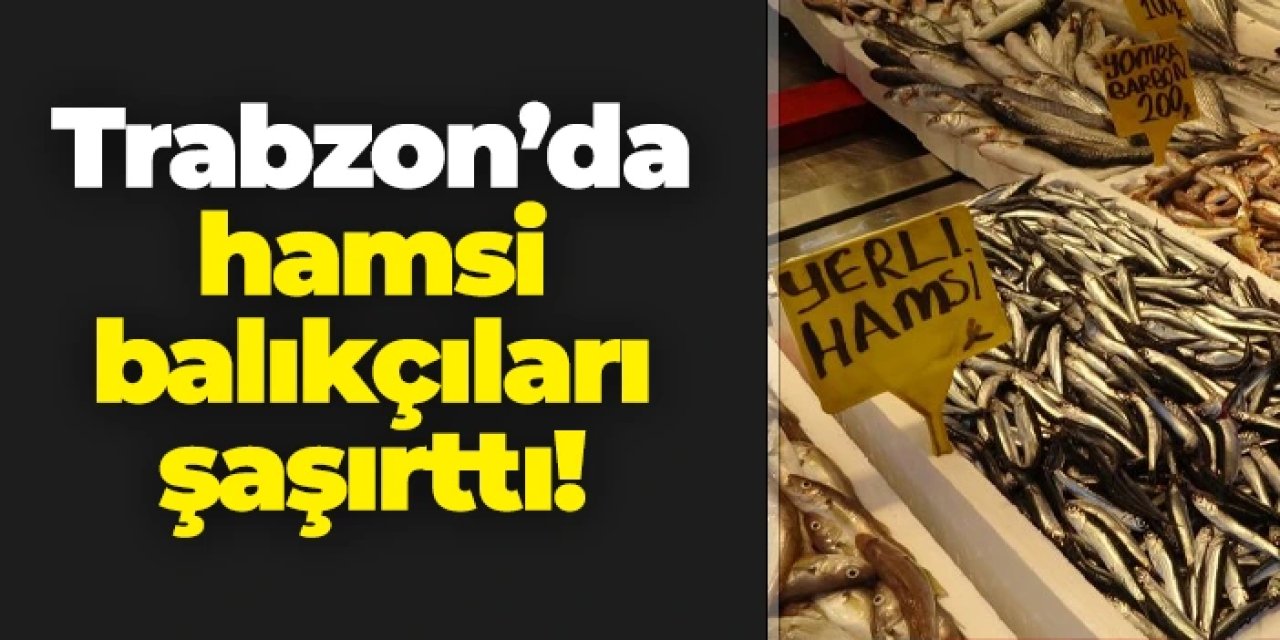 Trabzon'da hamsi balıkçıları şaşırttı!