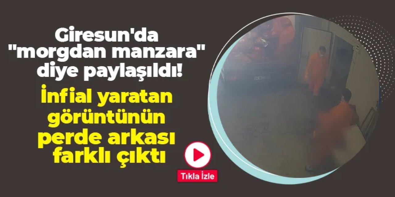 Giresun'da "morgdan manzara" diye paylaşıldı! İnfial yaratan görüntünün perde arkası farklı çıktı