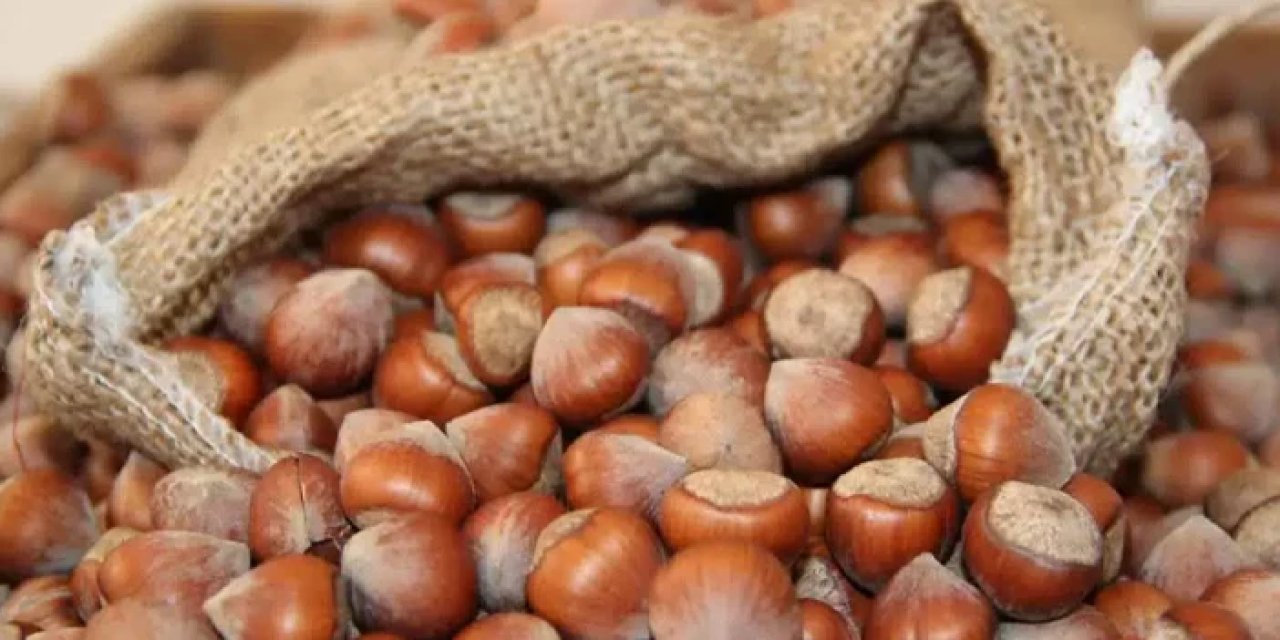 Trabzon'da fındık fiyatları düşüyor mu? İşte son durum