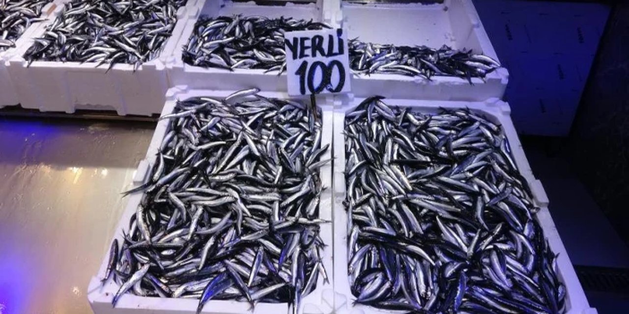 Trabzon'da balıkçılarda hamsi endişesi! "2 ay sonra..."