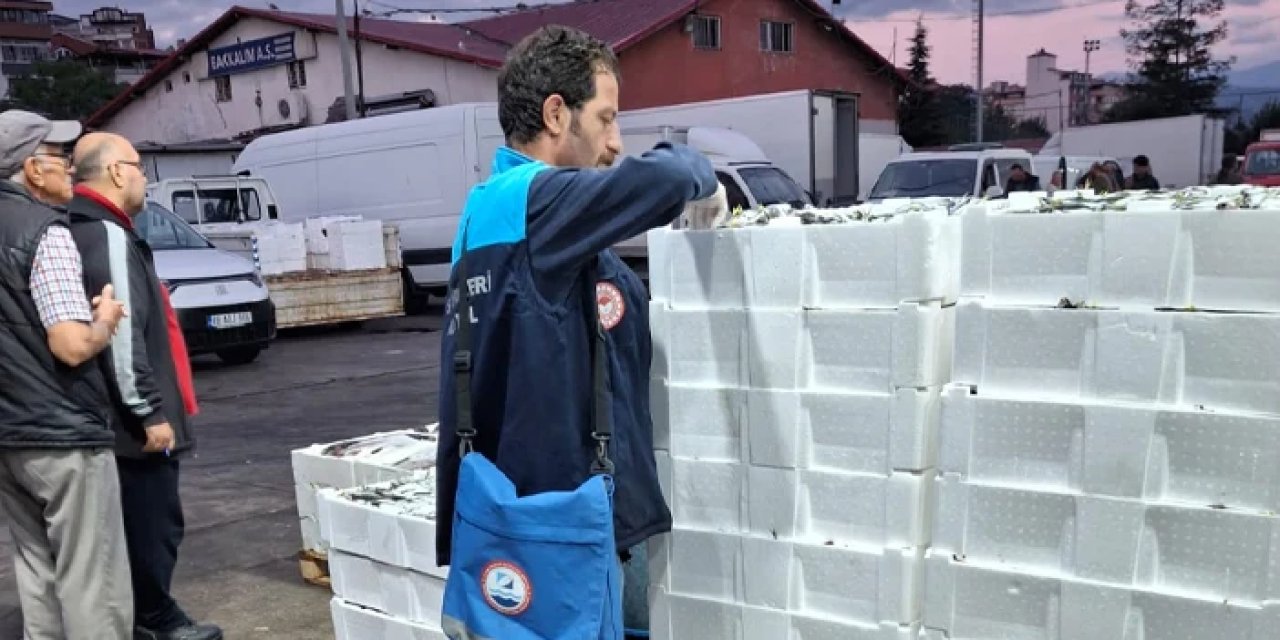 Trabzon'da balıkta sıkı denetim!