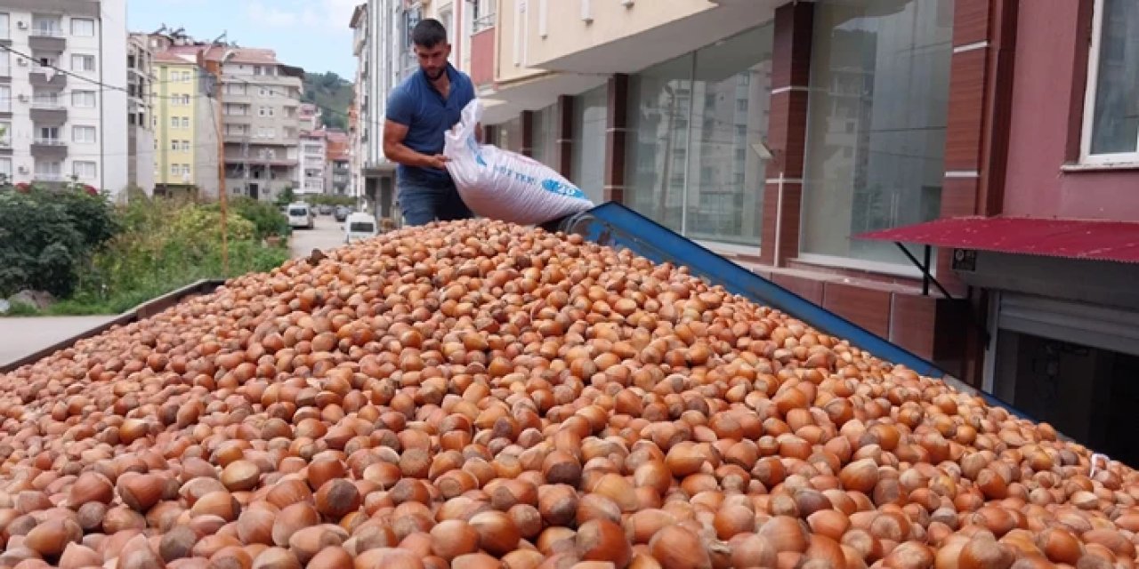 Fındıkta Türkiye fırtınası! İhracat ile dev gelir elde edildi