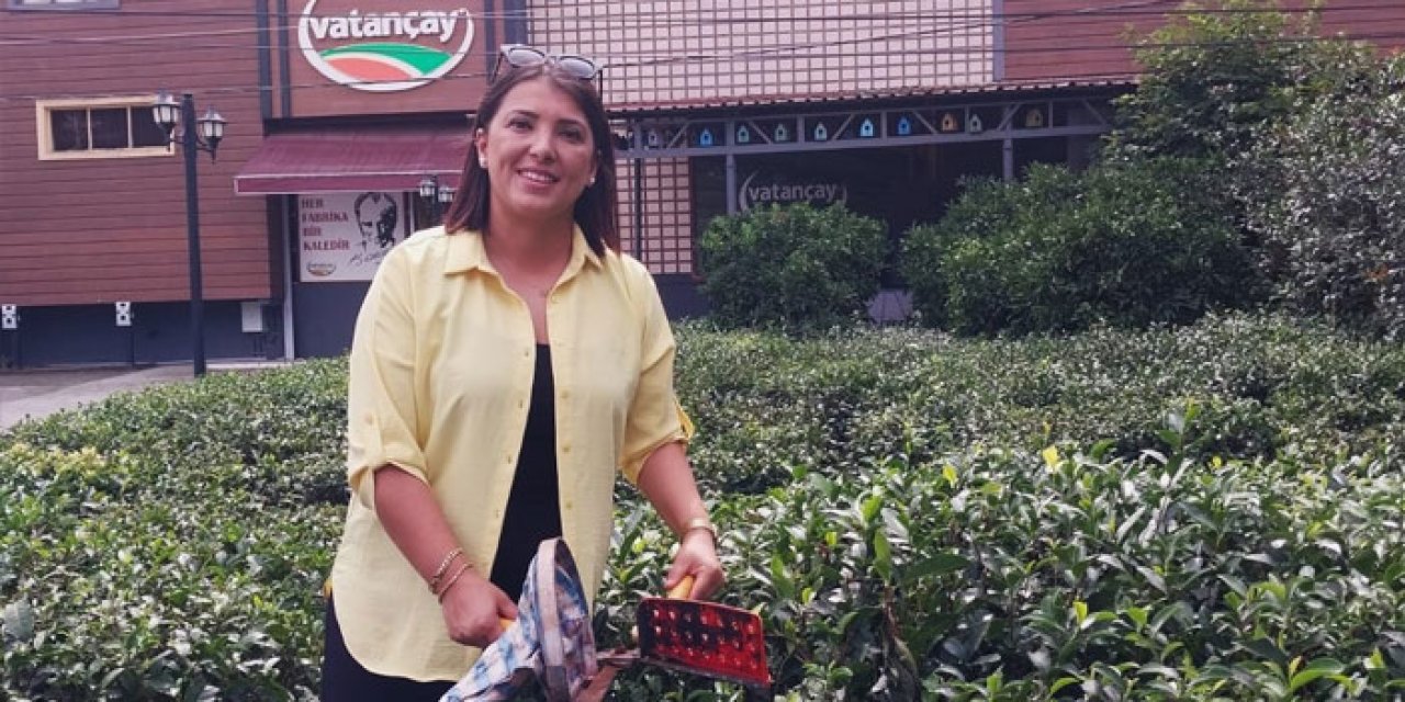 Turizmdeki durgunluk çay turizmine de yansıdı