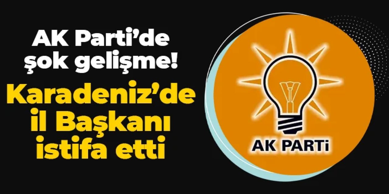 AK Parti Ordu'da şok: İl Başkanı istifa etti