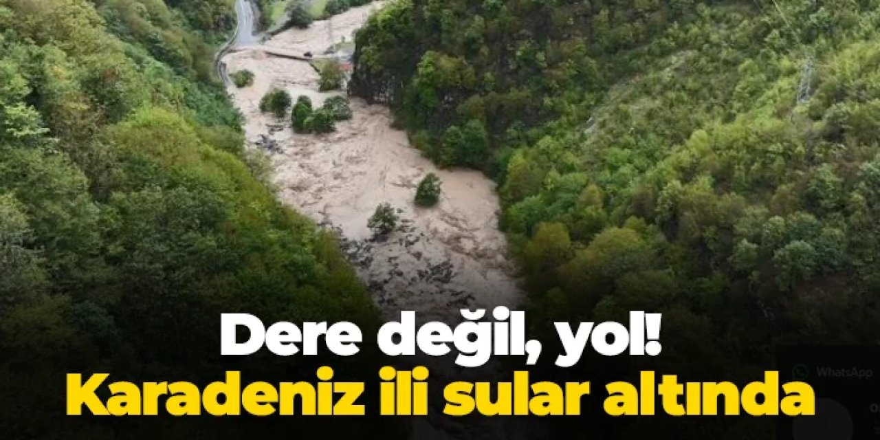 Artvin Borçka’da sel: Dere taştı, yol kayboldu