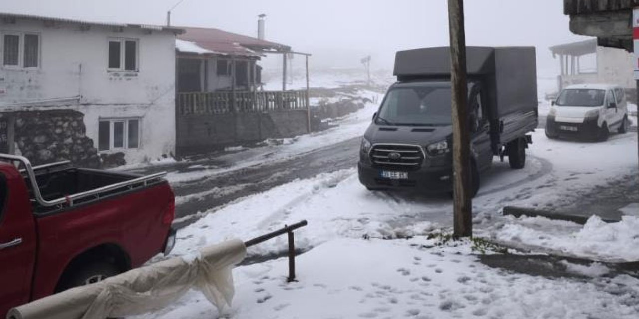Artvin'in vadilerini sel yaylalarını kar vurdu