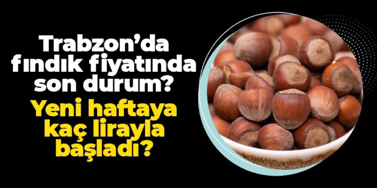 Trabzon'da fındık fiyatlarında son durum! Yeni haftaya kaç lirayla başladı?