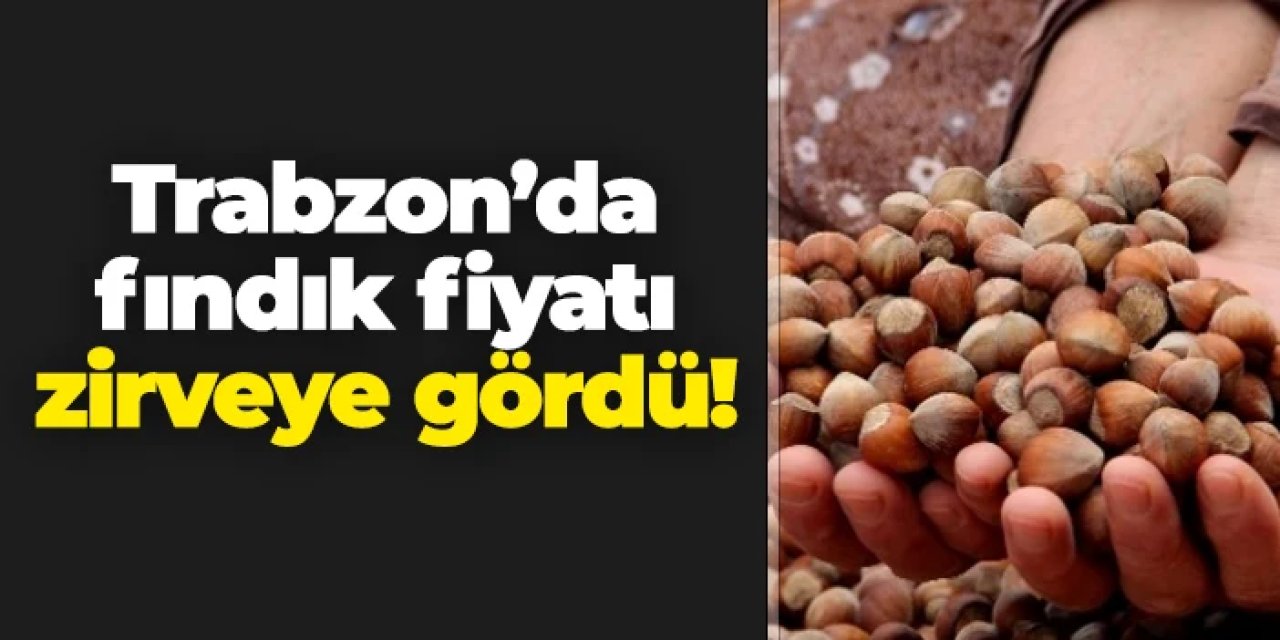 Trabzon'da fındık fiyatı zirveyi gördü!