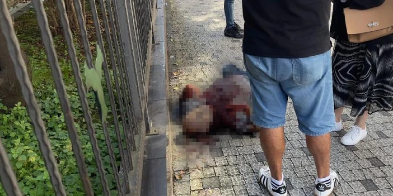 Türkiye bu olayı konuşuyordu: Giresun'da sokak ortasında bıçaklanan adamdan acı haber