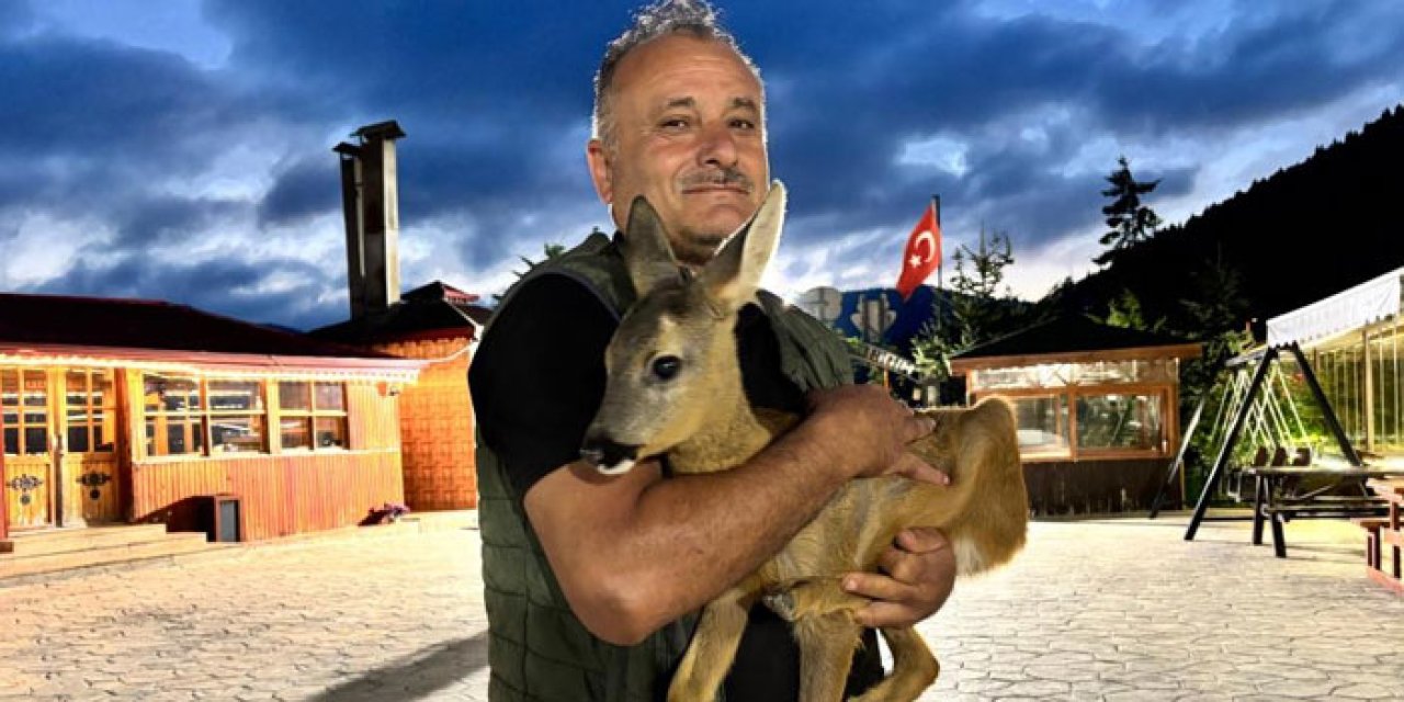 Trabzon’da duygusal hikaye! Kızını kaybetti karacaya kucak açtı